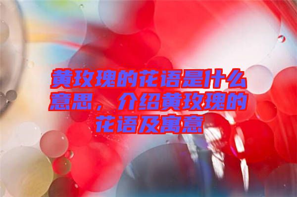 黃玫瑰的花語(yǔ)是什么意思，介紹黃玫瑰的花語(yǔ)及寓意