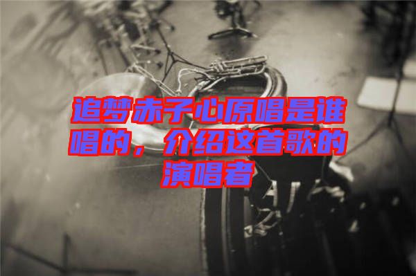 追夢赤子心原唱是誰唱的，介紹這首歌的演唱者
