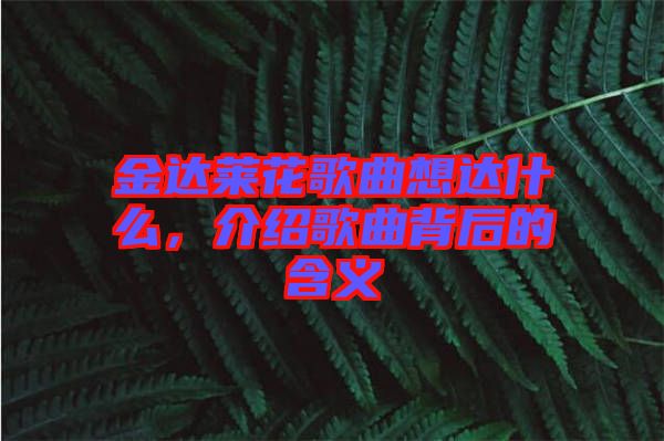 金達(dá)萊花歌曲想達(dá)什么，介紹歌曲背后的含義